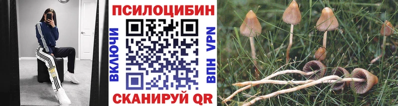 Галлюциногенные грибы ЛСД  Северо-Курильск 